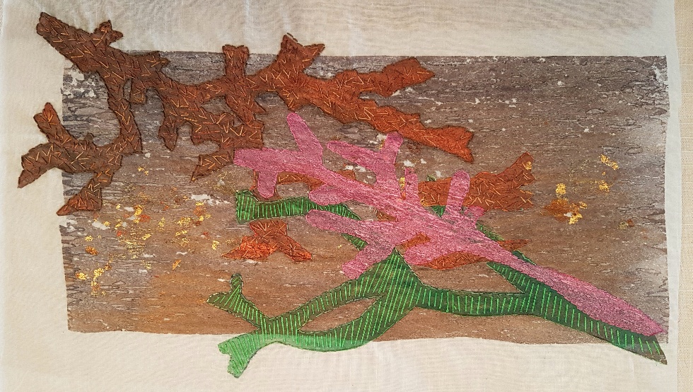 20190126_162914_resized_1